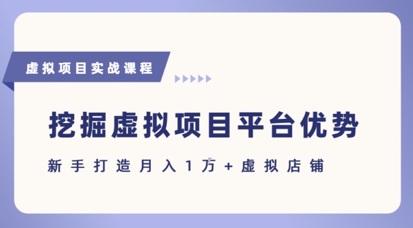 抓住虚拟项目各平台优势，新手轻松月入1W+(给出具体建议)-第一资源库