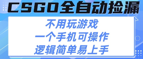 CSGO自动捡漏项目，最新独家玩法，不用挂G不用玩游戏，一个手机即可操作，新手小白轻松月入1W+【揭秘】-第一资源库