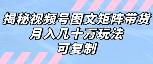 解密视频号图文矩阵带货，月入几个W的打法，可复制-第一资源库