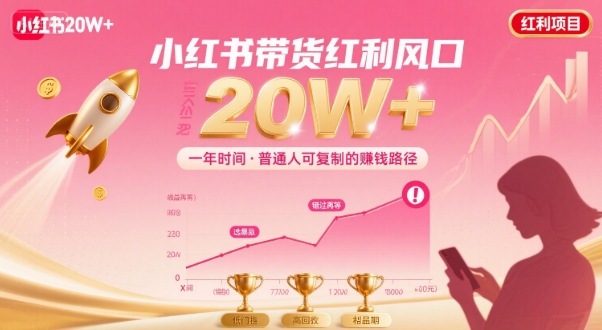 一年时间靠小红书带货项目年入20w+，最不能错的大红利项目-第一资源库