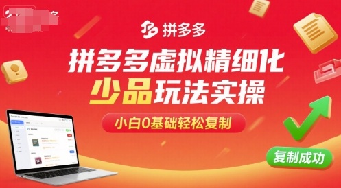 拼多多虚拟精细化少品玩法实操，小白0基础轻松复制-第一资源库